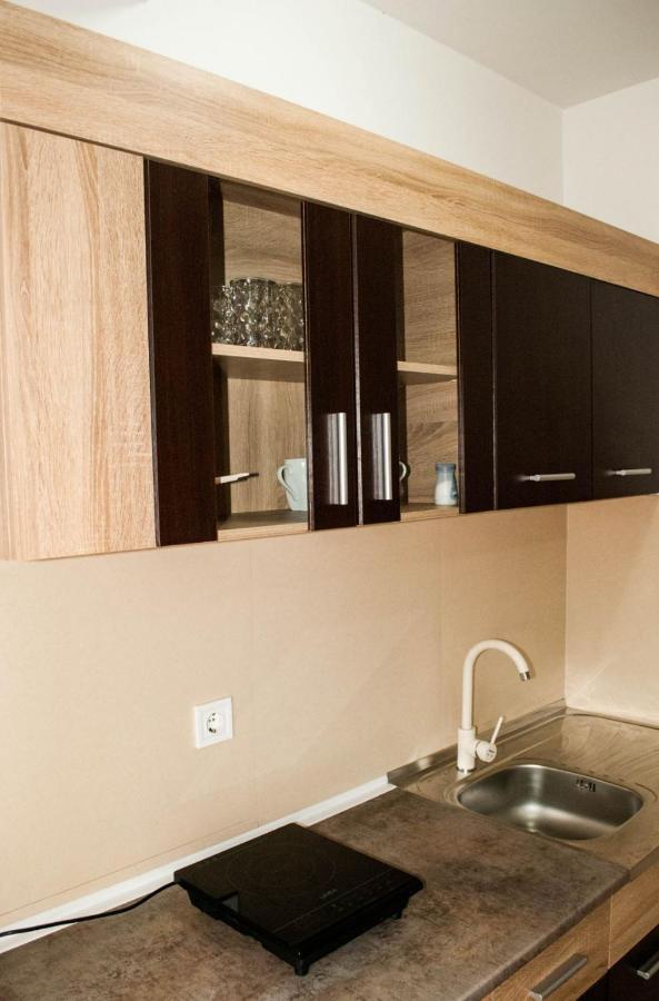 Apartman Soko Soko Banja Bagian luar foto