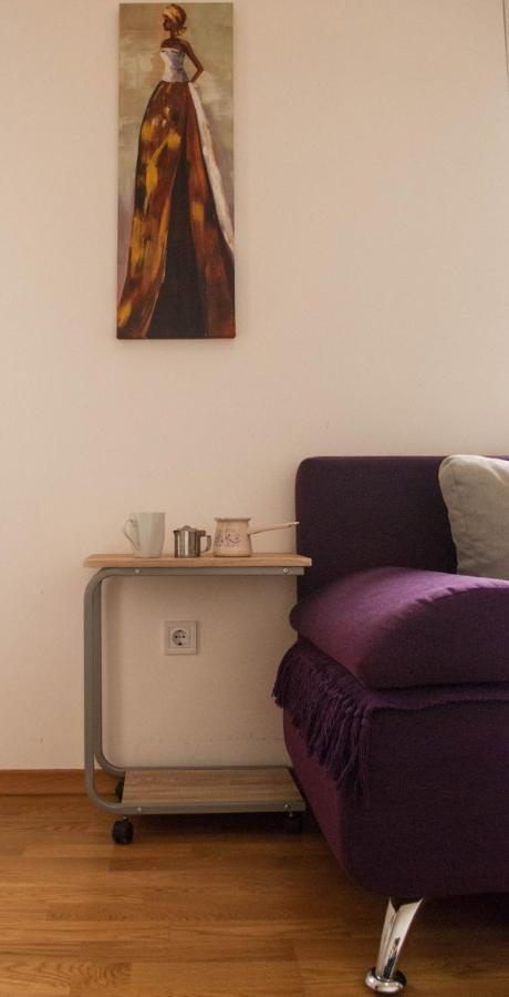 Apartman Soko Soko Banja Bagian luar foto