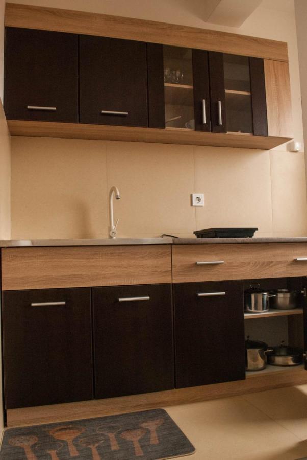 Apartman Soko Soko Banja Bagian luar foto