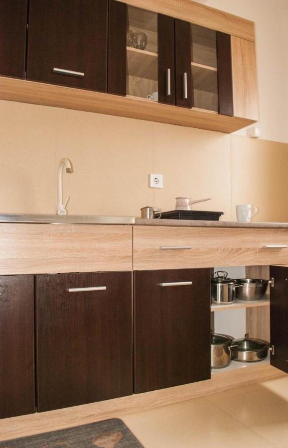 Apartman Soko Soko Banja Bagian luar foto